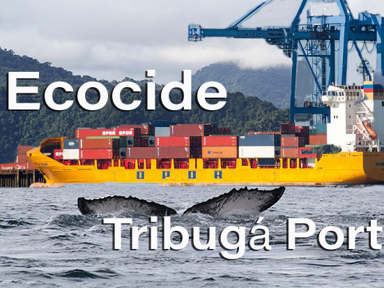 Ecocide-Port-Tribugá-Choco-Colombia-Thumb-Eng