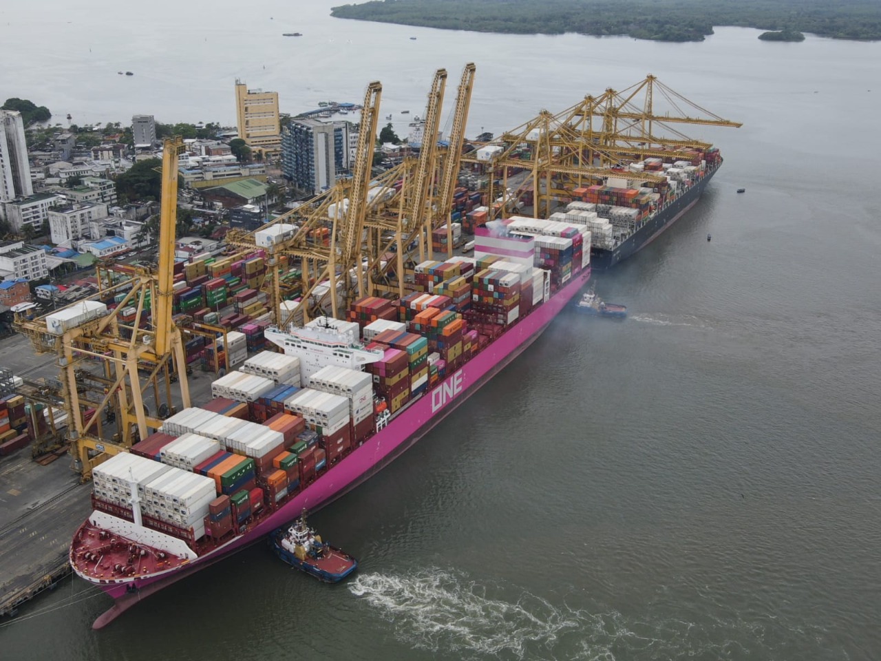 Ocean Network Express (ONE) Eyes New Round of Neo-Panamax Orders