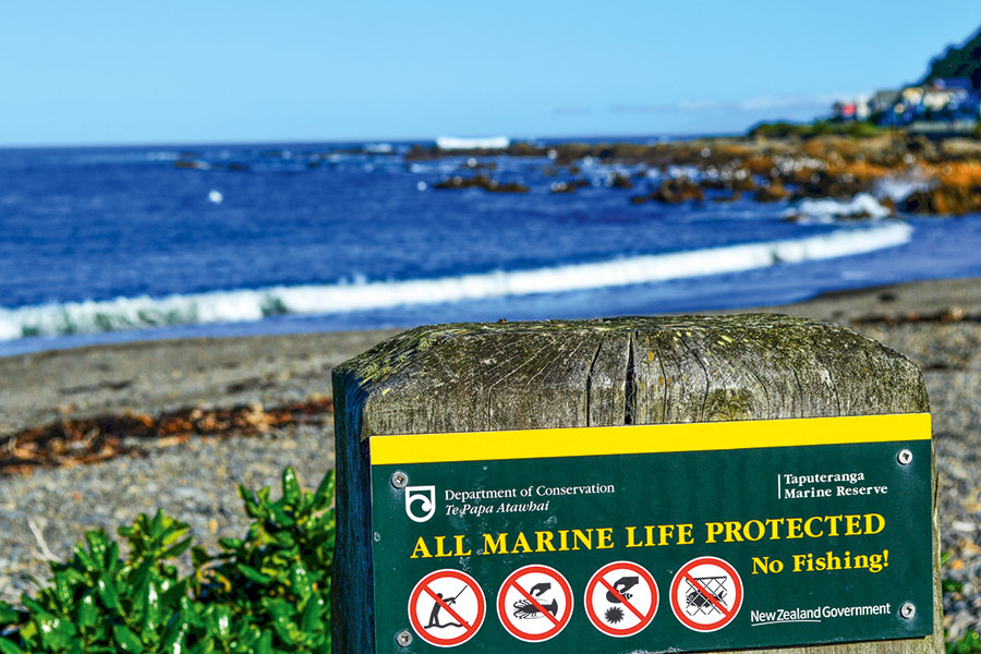 New Zealand Marine Protected Areas (MPAs): Unintended Consequences Revealed - The Fishing Website