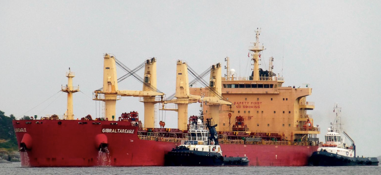 Yemen's Houthis launched a fatal attack on a Barbados-flagged dry bulk carrier in the Gulf of Aden, resulting in the deaths of at least two crew members.